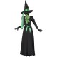 Disfraz de Bruja Mala del Oeste (Wicked Witch)