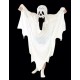 Disfraz de Fantasma Disfraz de Fantasma